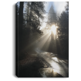 Canvas Art 32"x48"x.750" Nature Designs