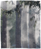 Plush Fleece Blanket 50"x60" Nature Designs