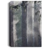 Canvas Art 32"x48"x.750" Nature Designs