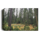 Canvas Art 8"x12"x1.50" Nature Designs