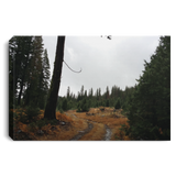 Canvas Art 32"x48"x.750" Nature Designs