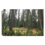 Canvas Art 32"x48"x.750" Nature Designs