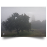 Satin Posters 32"x48" Nature Designs
