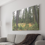 Canvas Art 32"x48"x1.50" Nature Designs