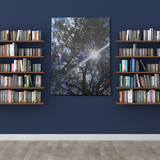 Canvas Art 24"x36"x1.50" Nature Designs